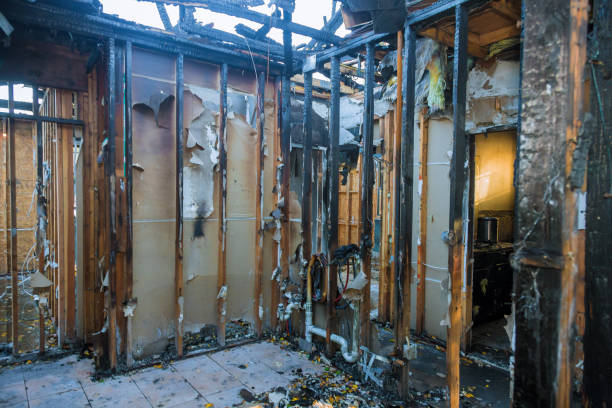 Professional Structural Rebuild technician working in Spicewood, TX